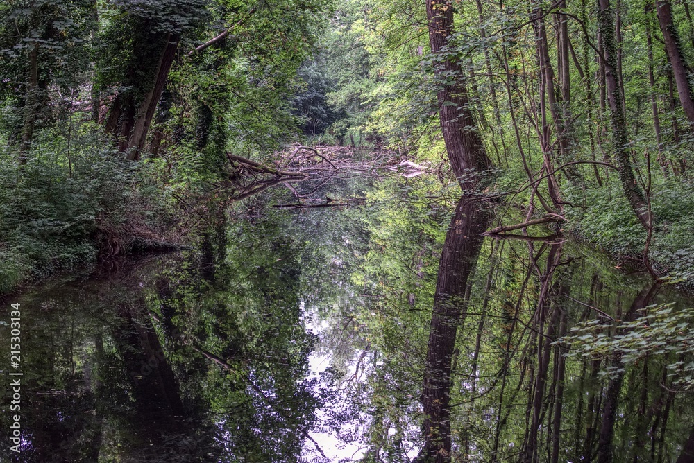 Abandoned meander in the woods Abandoned meander in the woods