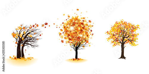 Fall trees set
