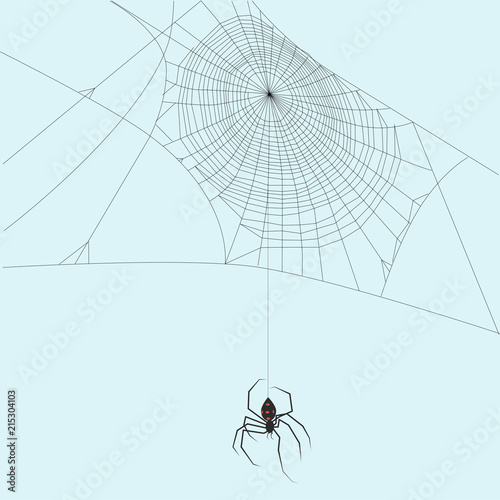 Black widow spider hanging down a string of spider thread and it's web halloween, spooky, isolated, deadly creepy crawler