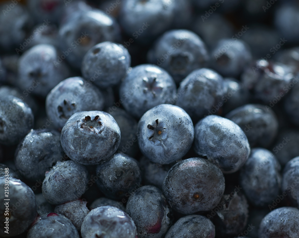 Blueberries in Closeup