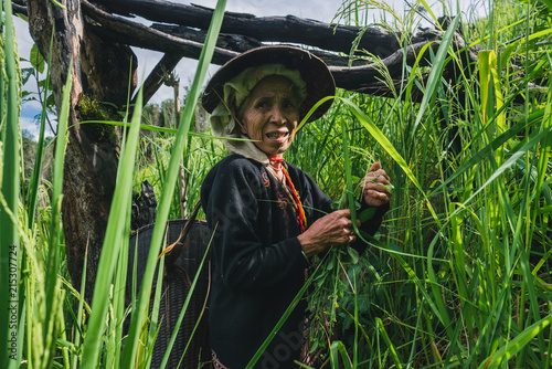 Senior Karen woman in her rotational farming