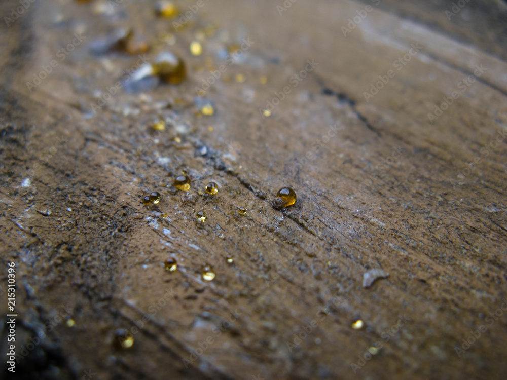 A scattering of resin droplets froze on a painted pine board. A scattering of resin droplets froze on a painted pine board.