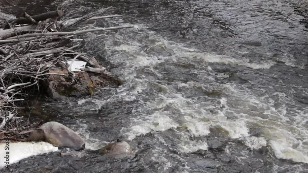 Rushing Creek Below Mountain Cliff By Driftwood Rushing Creek Below Mountain Cliff By Driftwood