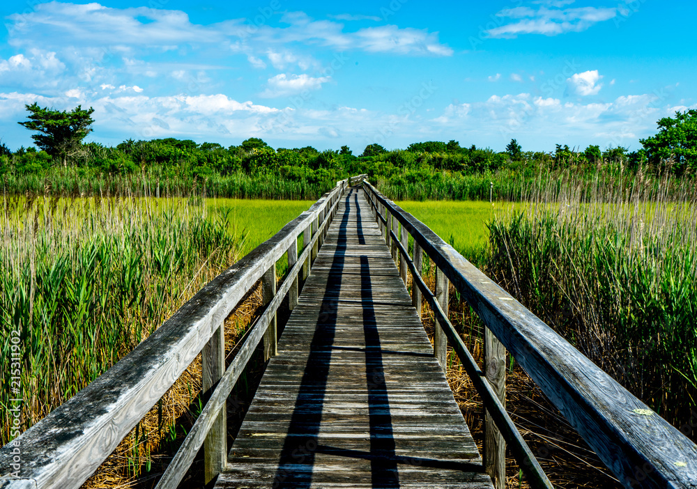 Boardwalk Through a Marsh