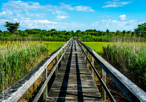 Fototapeta Naklejka Na Ścianę i Meble -  Boardwalk Through a Marsh