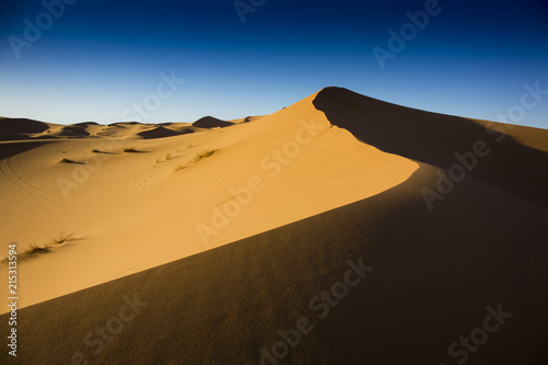Sand dunes of Sahara close to Merzouga