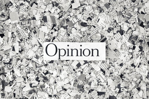 Opinion on a bed of cut up Newspaper  photo
