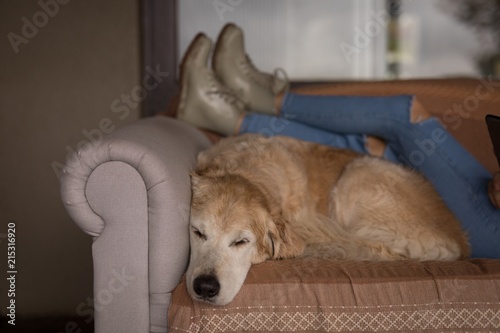 Girl with dog relaxing in living room photo