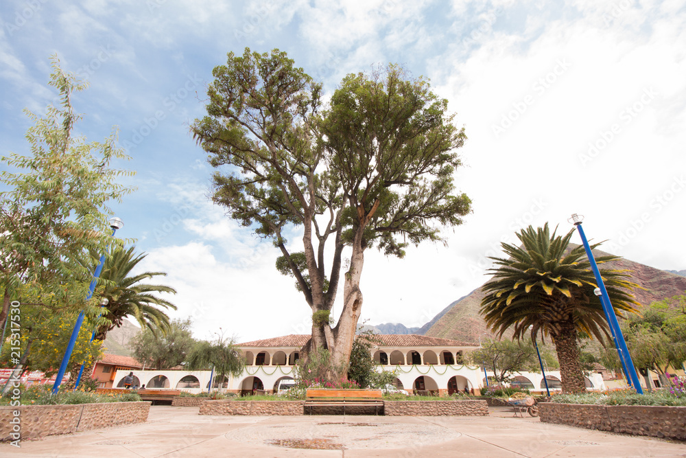 Fototapeta premium plaza