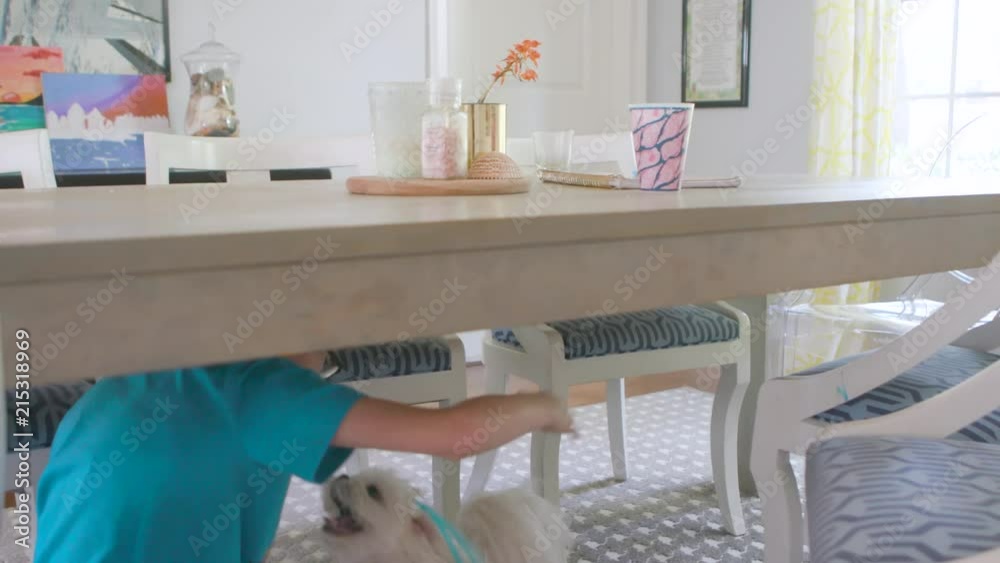 Camera lowers below the table top to reveal a cute little maltipoo and little boy play fighting under the table. Camera lowers and drifts. Camera lowers below the table top to reveal a cute little maltipoo and little boy play fighting under the table. Camera lowers and drifts.