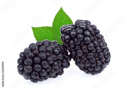 fresh blackberry with green leaf isolated on white background