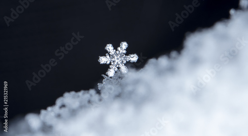 natural snowflakes on snow © vadim_fl
