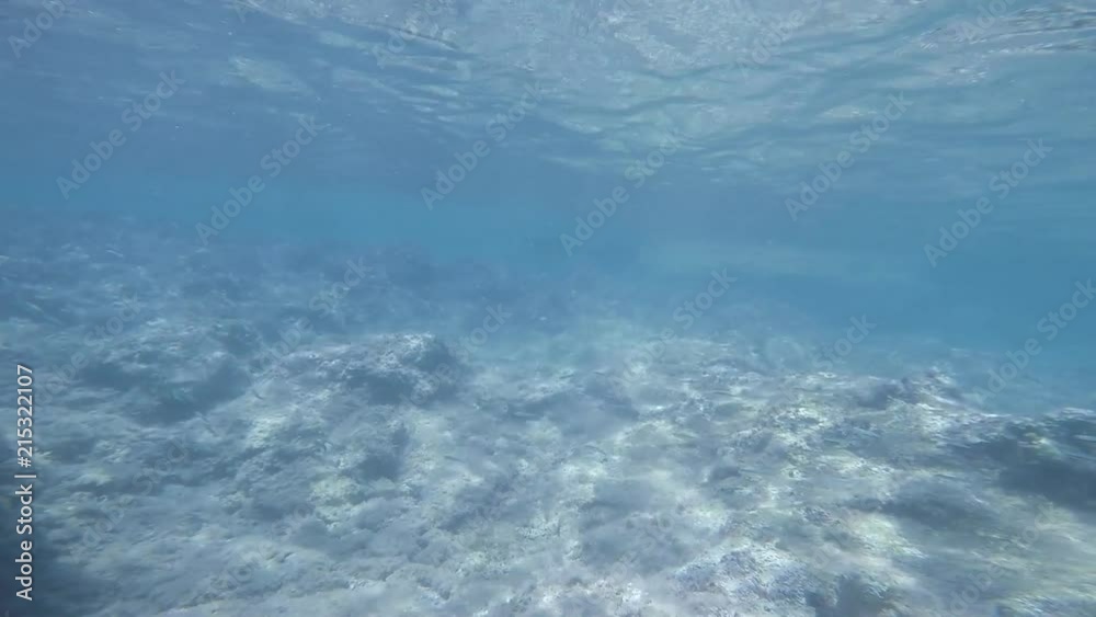 Scuba diving under sea in antalya Scuba diving under sea in antalya
