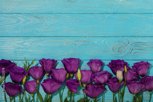 Violet flowers - eustoma  on a white blue background.