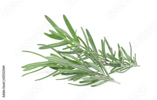 fresh rosemary isolated on white background