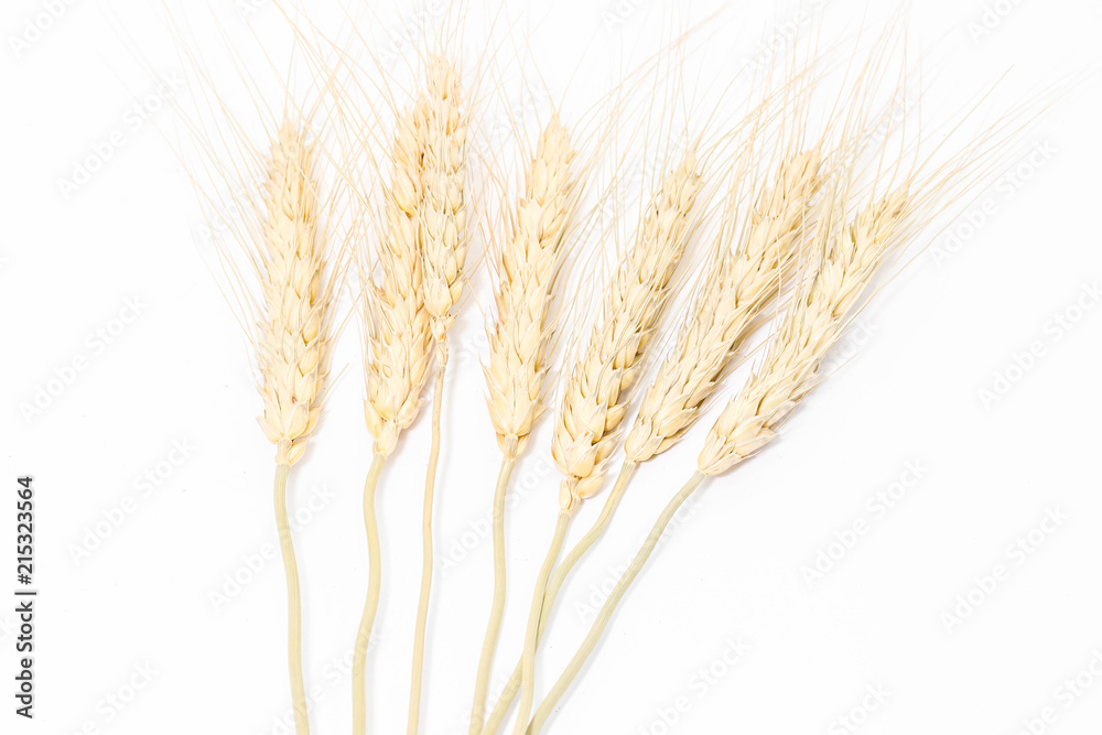 Six dry rice isolated on white background Six dry rice isolated on white background