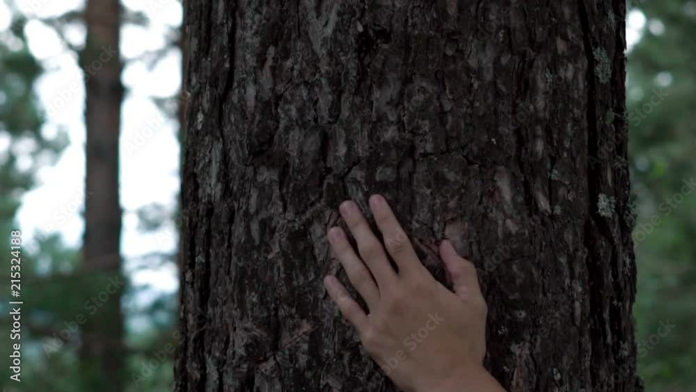 the hand on the tree