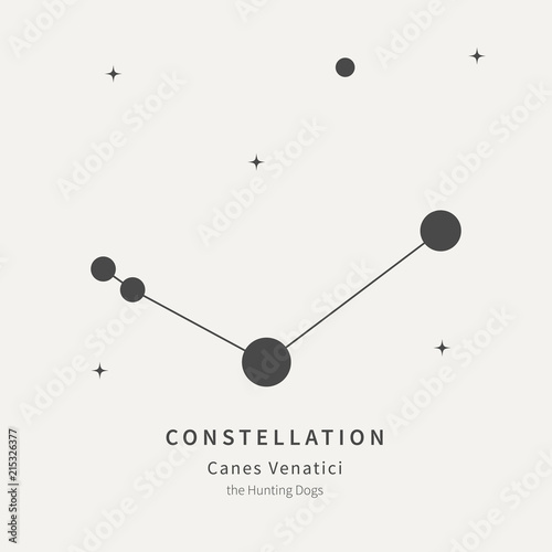 The Constellation Of Canes Venatici. The Hunting Dogs - linear icon. Vector illustration of the concept of astronomy. photo