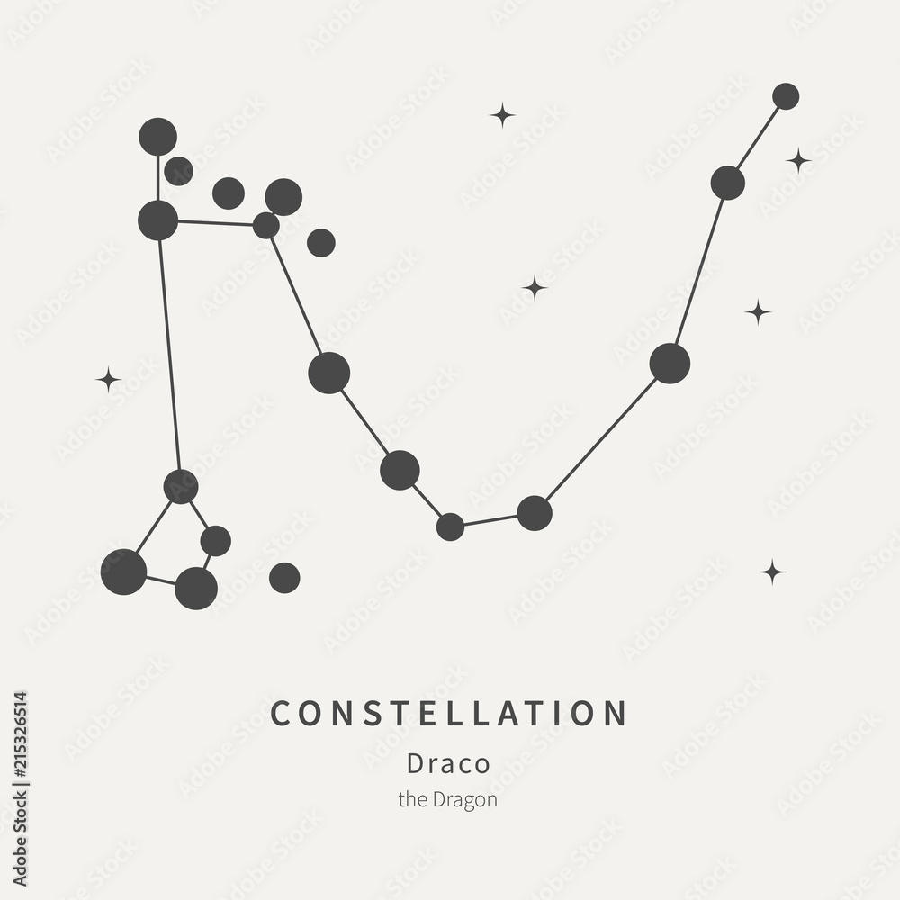 Fototapeta premium The Constellation Of Draco. The Dragon - linear icon. Vector illustration of the concept of astronomy.