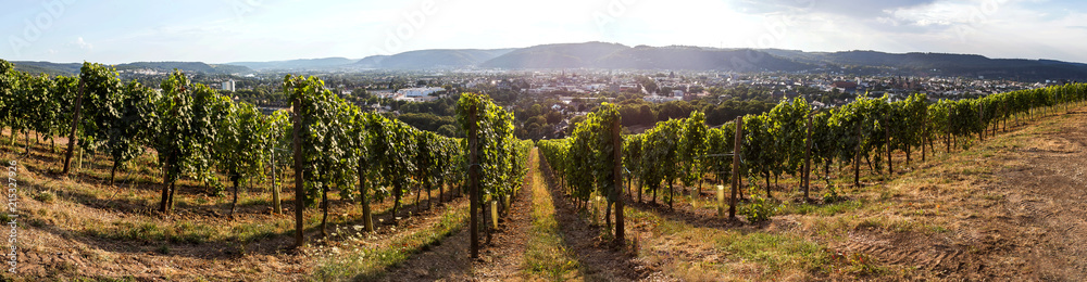 historic trier germany and vineyard from above high definition panorama