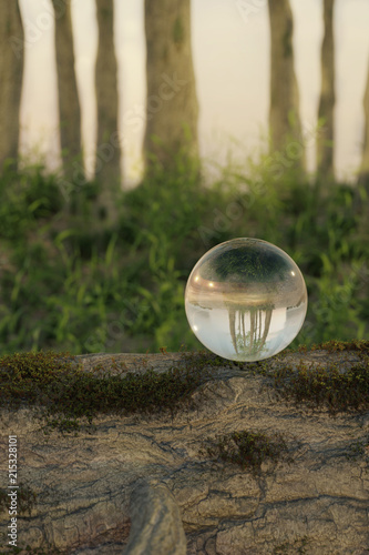 3d renderong of close up fallen tree with crystal ball in front of forest