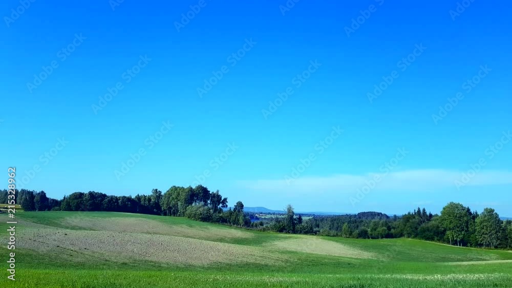 Grassland with trees and blue sky as background, moving to the left Grassland with trees and blue sky as background, moving to the left