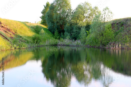 trees stand near the pond reflected in the water