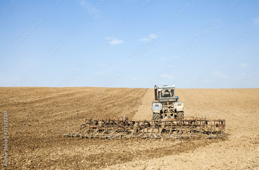 Fototapeta premium Harrowing the soil with tine harrows