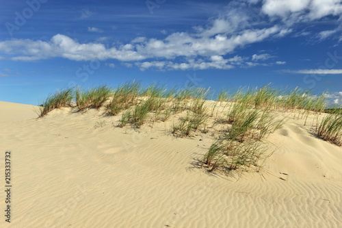 Sandy desert with islets of high grass against the blue sky