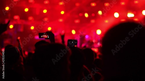 people at a rock concert