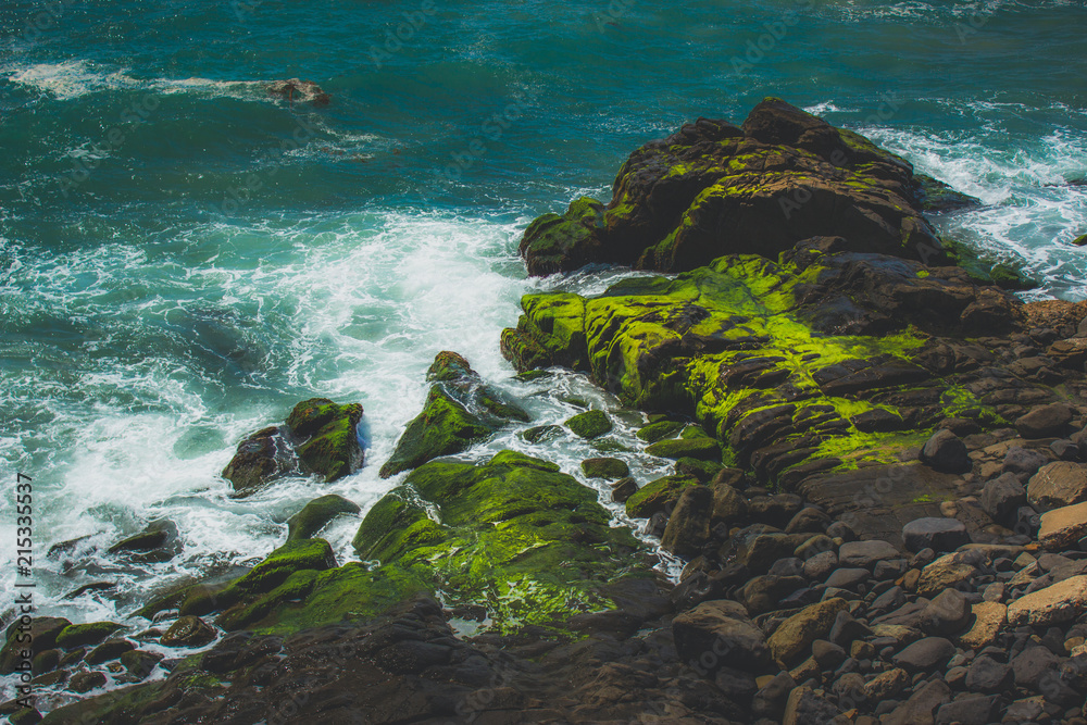 Green Algae on Point Mugu Rock Formations Green Algae on Point Mugu Rock Formations