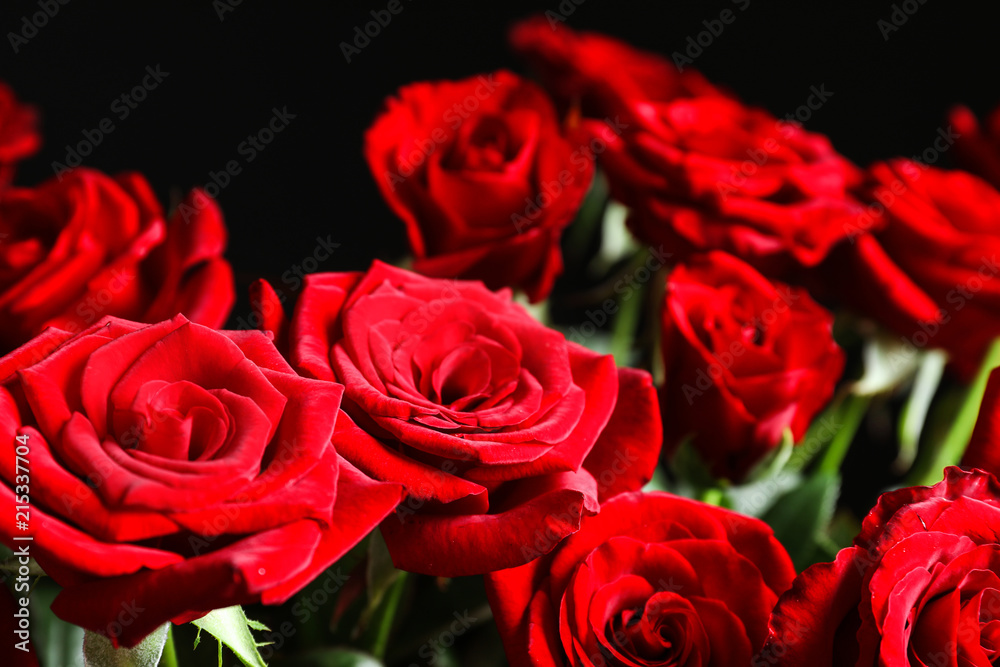 Beautiful red rose flowers, closeup view
