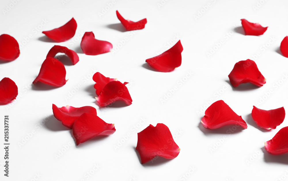 Beautiful red rose petals on white background Beautiful red rose petals on white background
