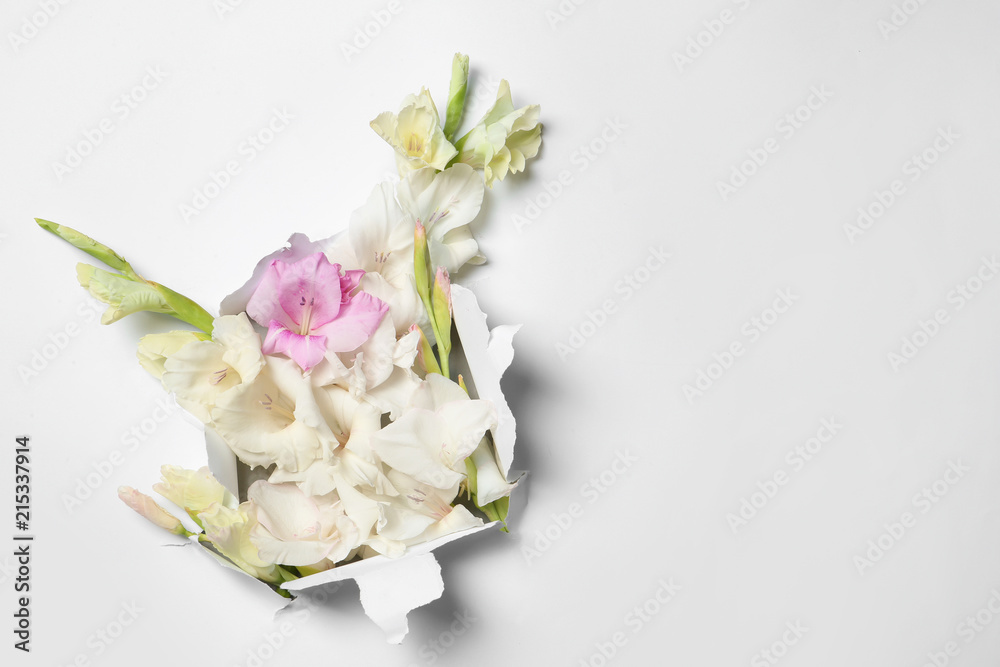 Composition with beautiful gladiolus flowers and torn paper