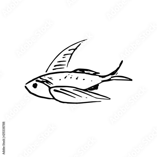 Hand Drawn fish doodle. Sketch style icon. Decoration element. Isolated on white background. Cartoon design. Vector illustration