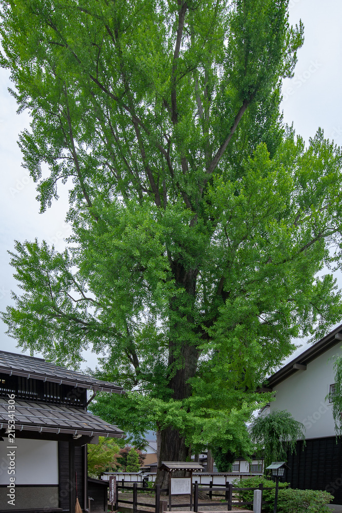 飛騨古川 飛騨古川