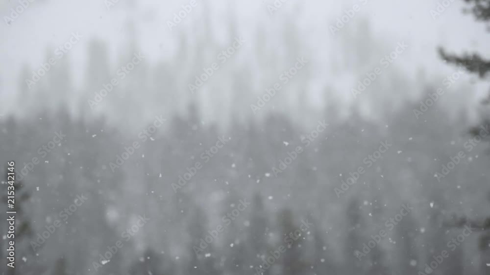 Slowmotion of snowfall in Lapland Finland. Slowmotion of snowfall in Lapland Finland.
