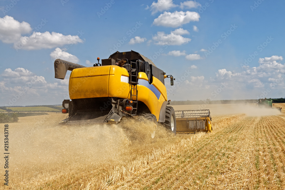 Fototapeta premium Combine harvests wheat on a field in sunny summer day