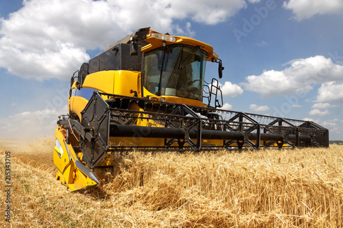 Combine harvests wheat on a field in sunny summer day