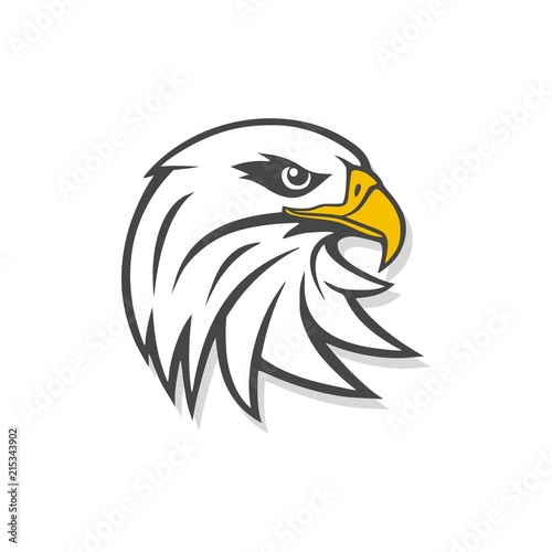 Eagle mascot logo for sport team, Eagle head icon
