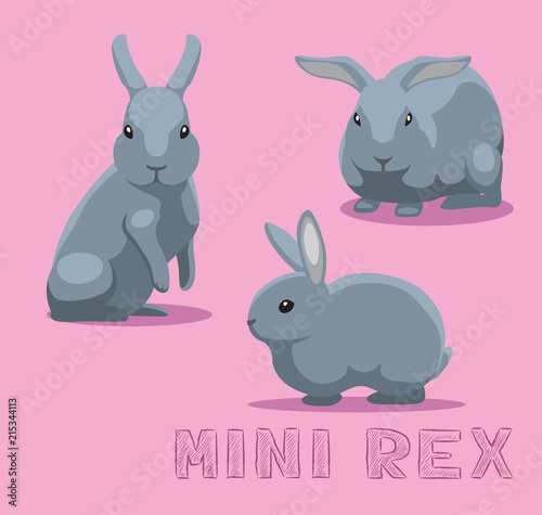 Rabbit Mini Rex Cartoon Vector Illustration