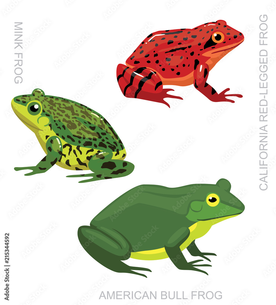 Naklejka premium Frog American Frog Set Cartoon Vector Illustration