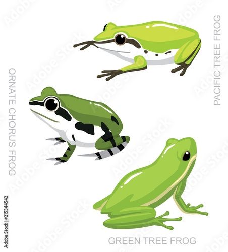 Frog Tree Frog Set Cartoon Vector Illustration