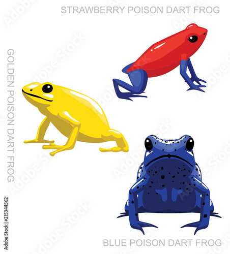 Frog Poison Dart Frog Set Cartoon Vector Illustration