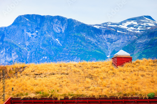 Modern cabin hytte with grass on roof Norway photo