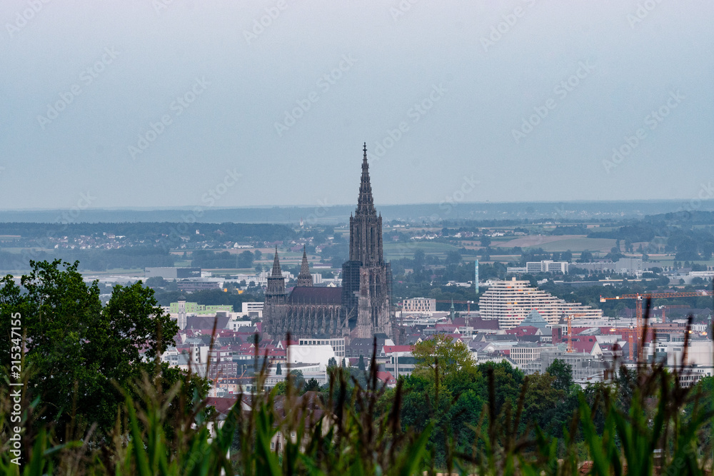 Obraz premium The Ulm Cathedral at the Blue Hour