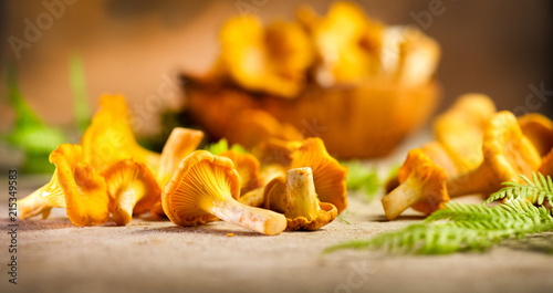 Raw wild chanterelle mushrooms on old rustic table background. Organic fresh chanterelles background. Soft focus photo