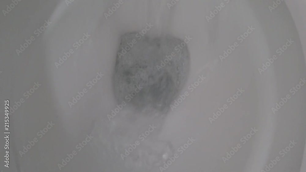 flushing water in toilet bowl flushing water in toilet bowl