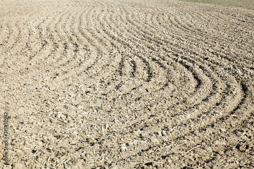 Ploughed field