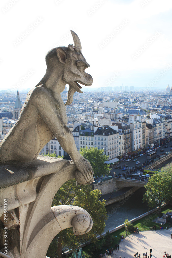 Notre Dame Paris France gargoyles	
